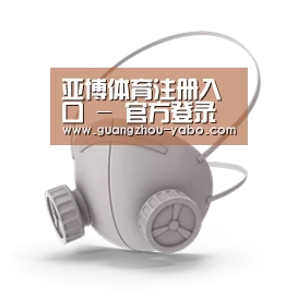 N95 口罩